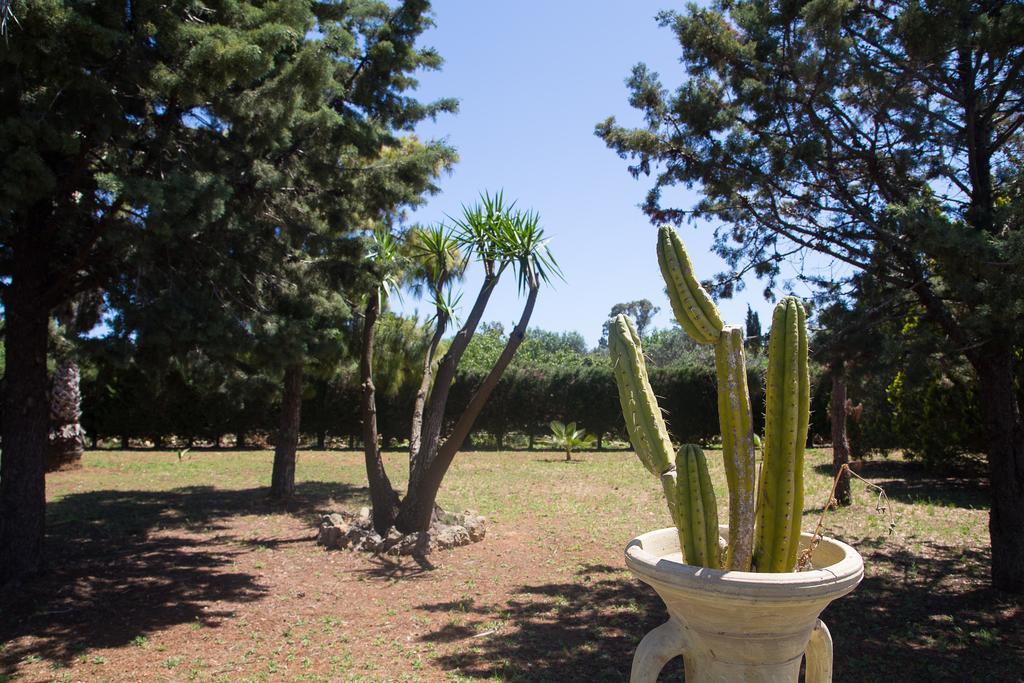 Villa Dei Sogni Gallipoli Tuglie Exteriér fotografie